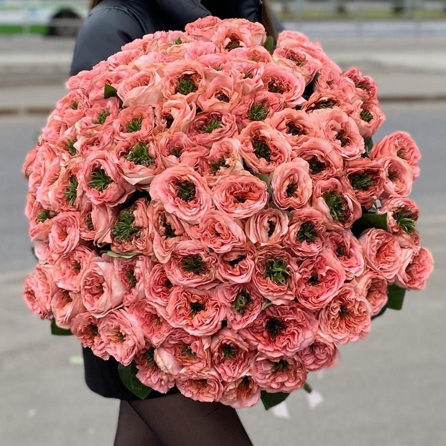 Мандарин Експрешен 101