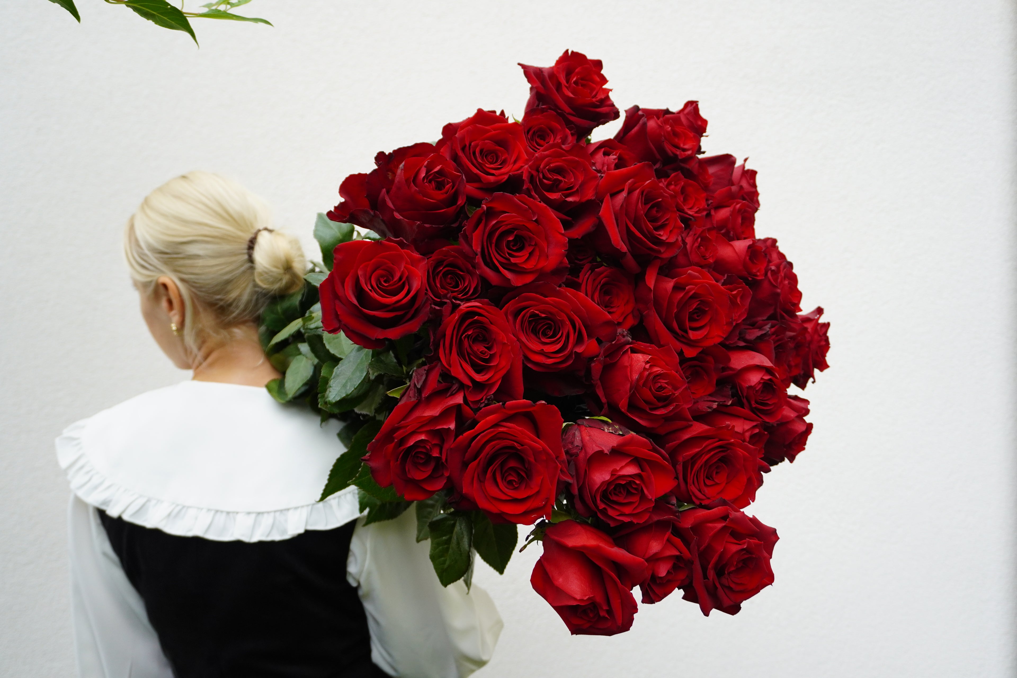 Еквадор Експловер