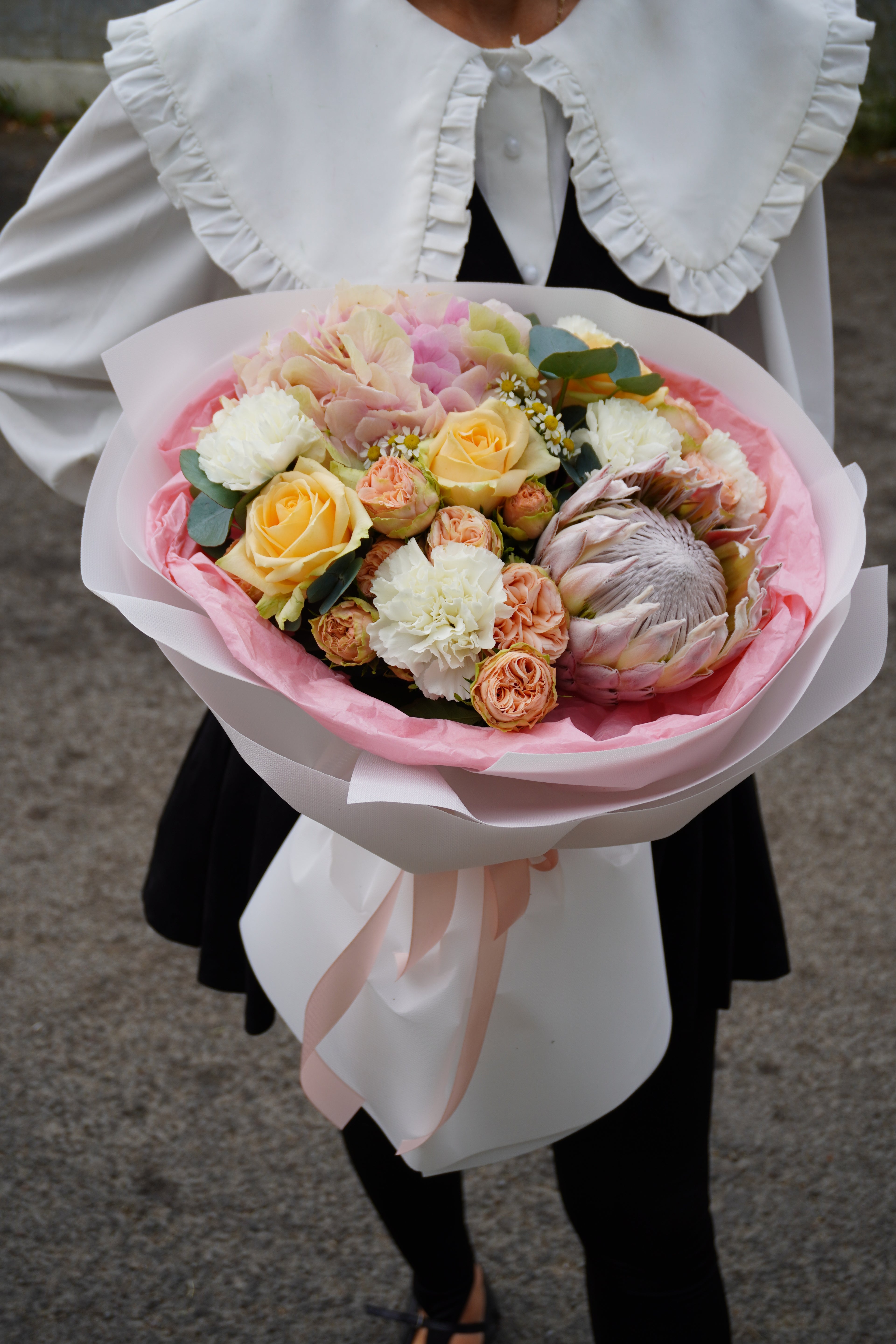 Гортензія та протея