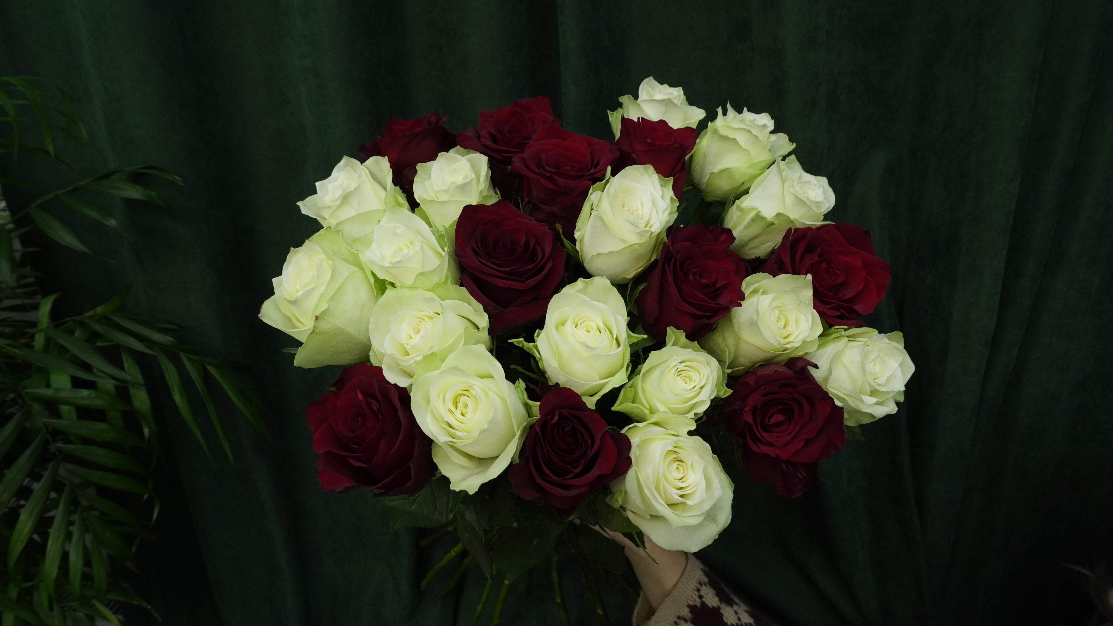 Мікс троянд 1