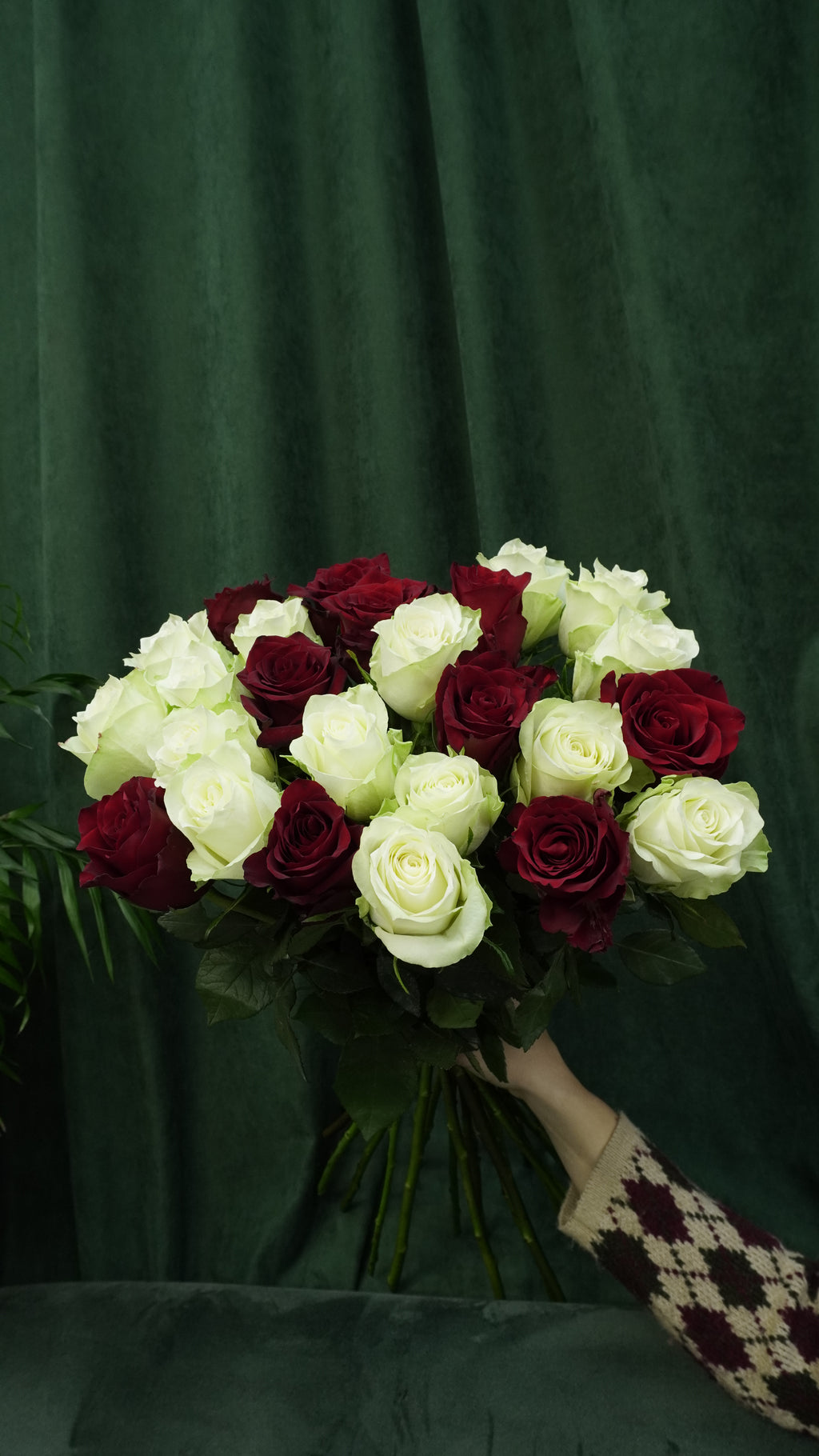 Мікс троянд 1