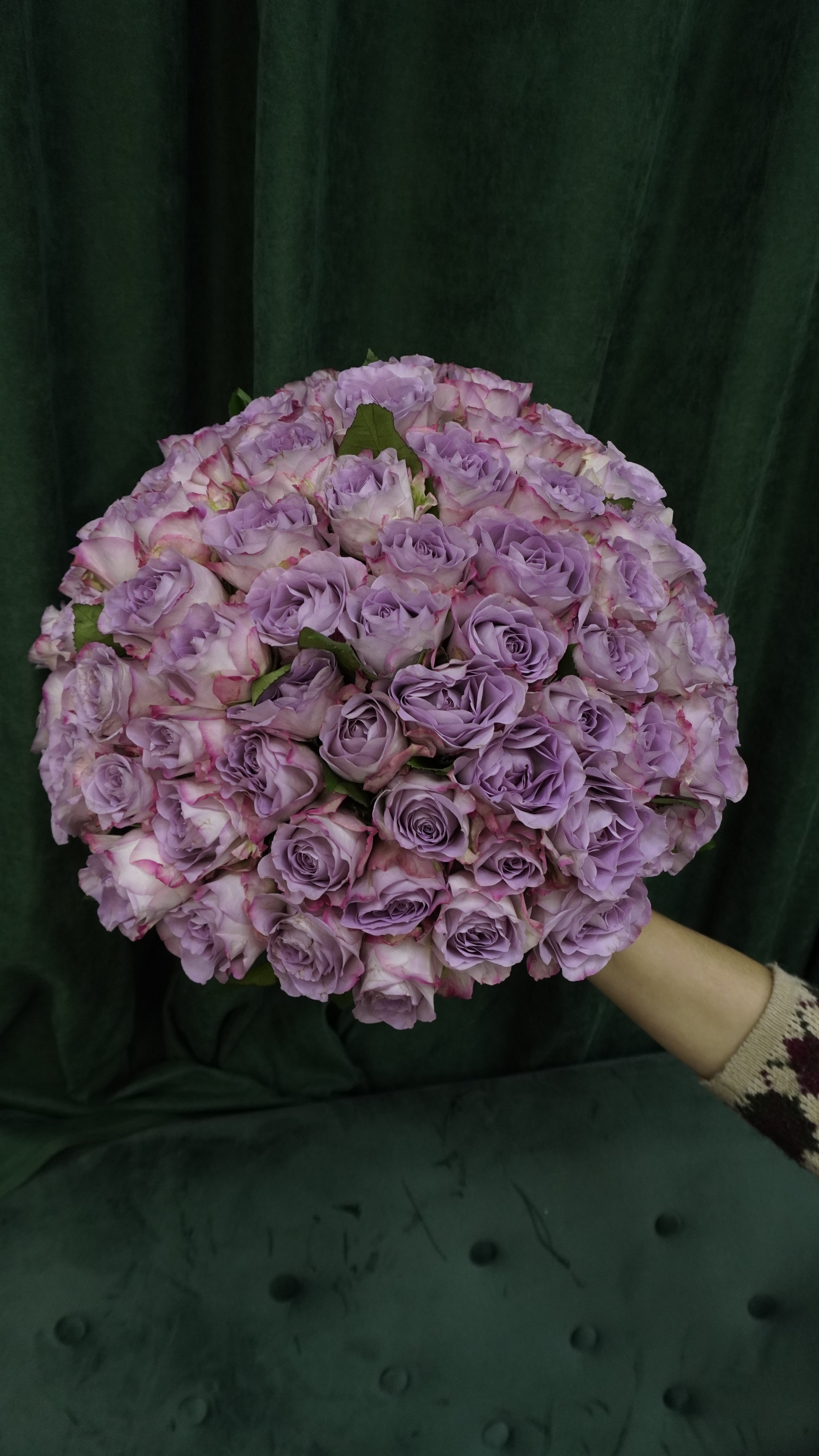 Меморі Лейн 101