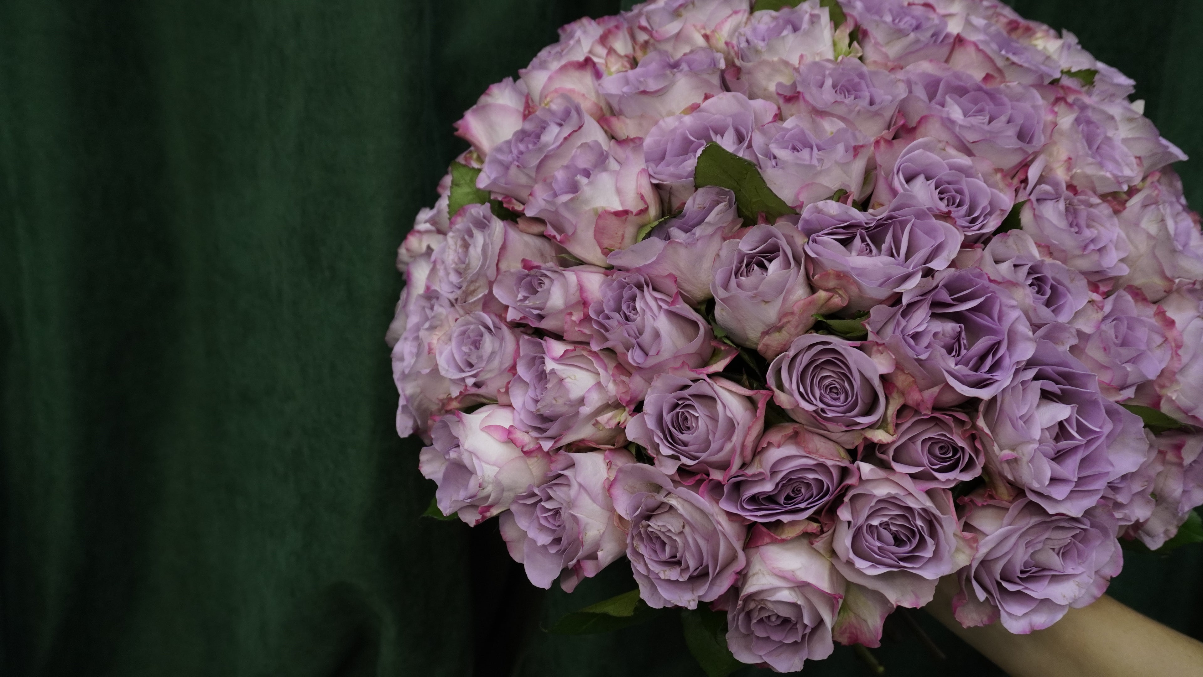 Меморі Лейн 101