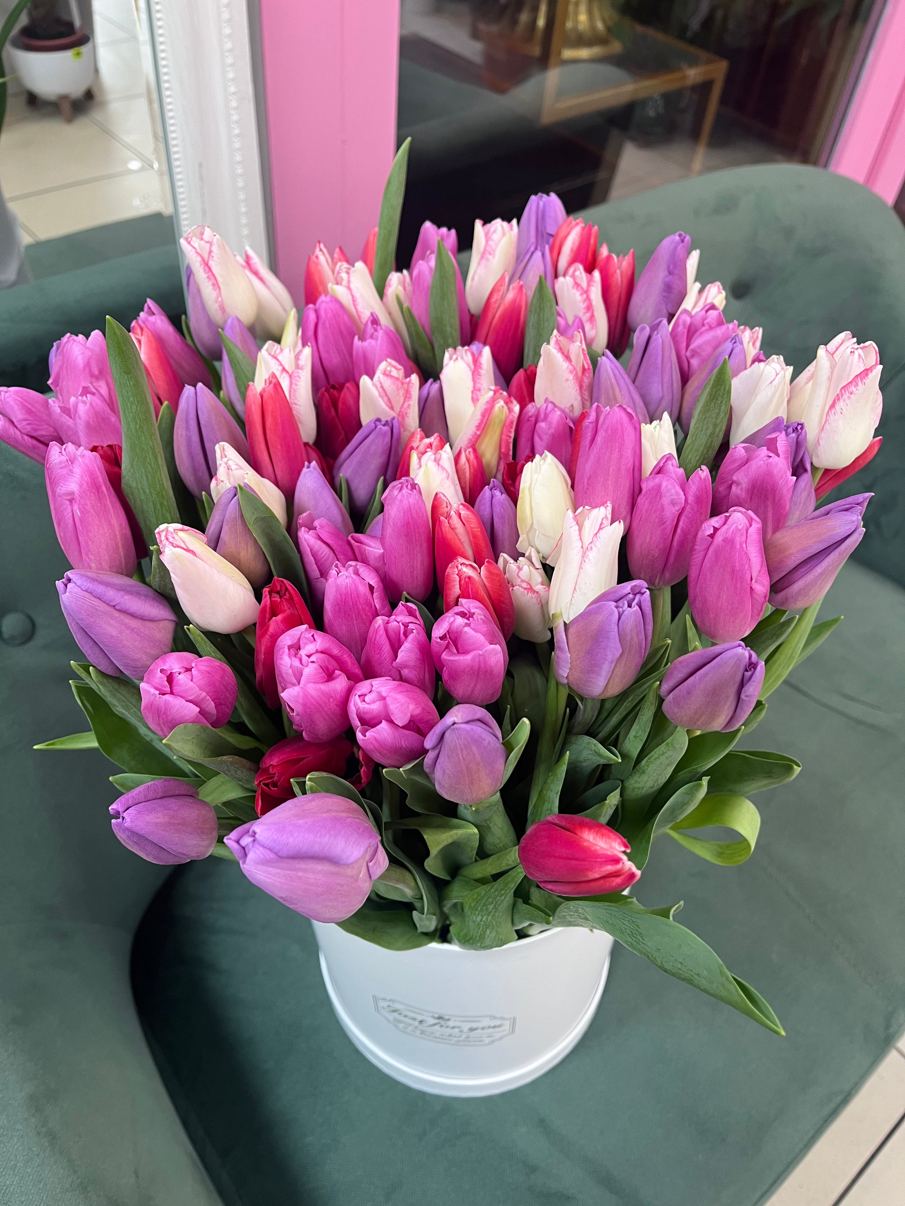 Мікс Тюльпанів