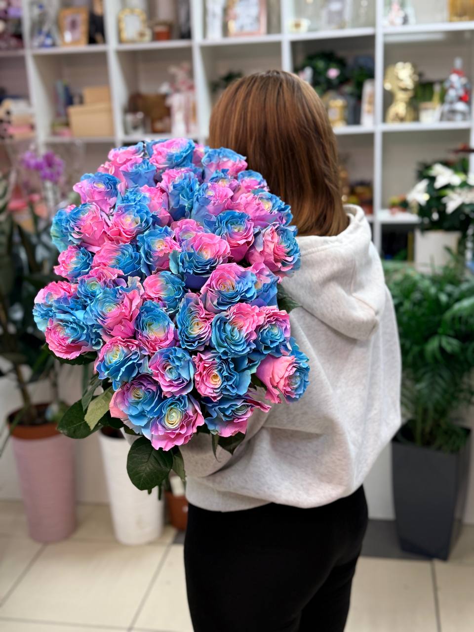 Кольорова Троянда з Голандії