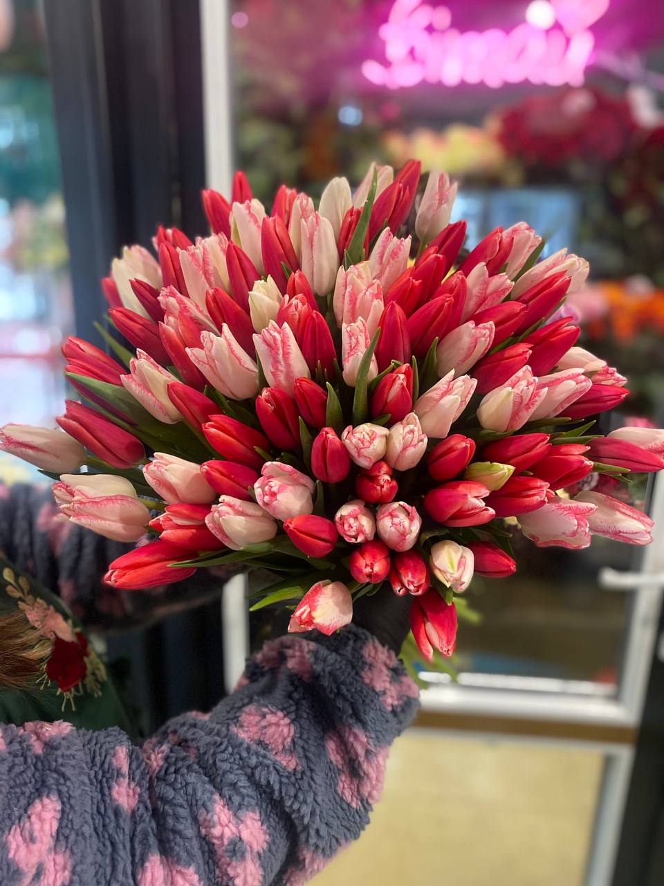 Мікс тюльпанів 101