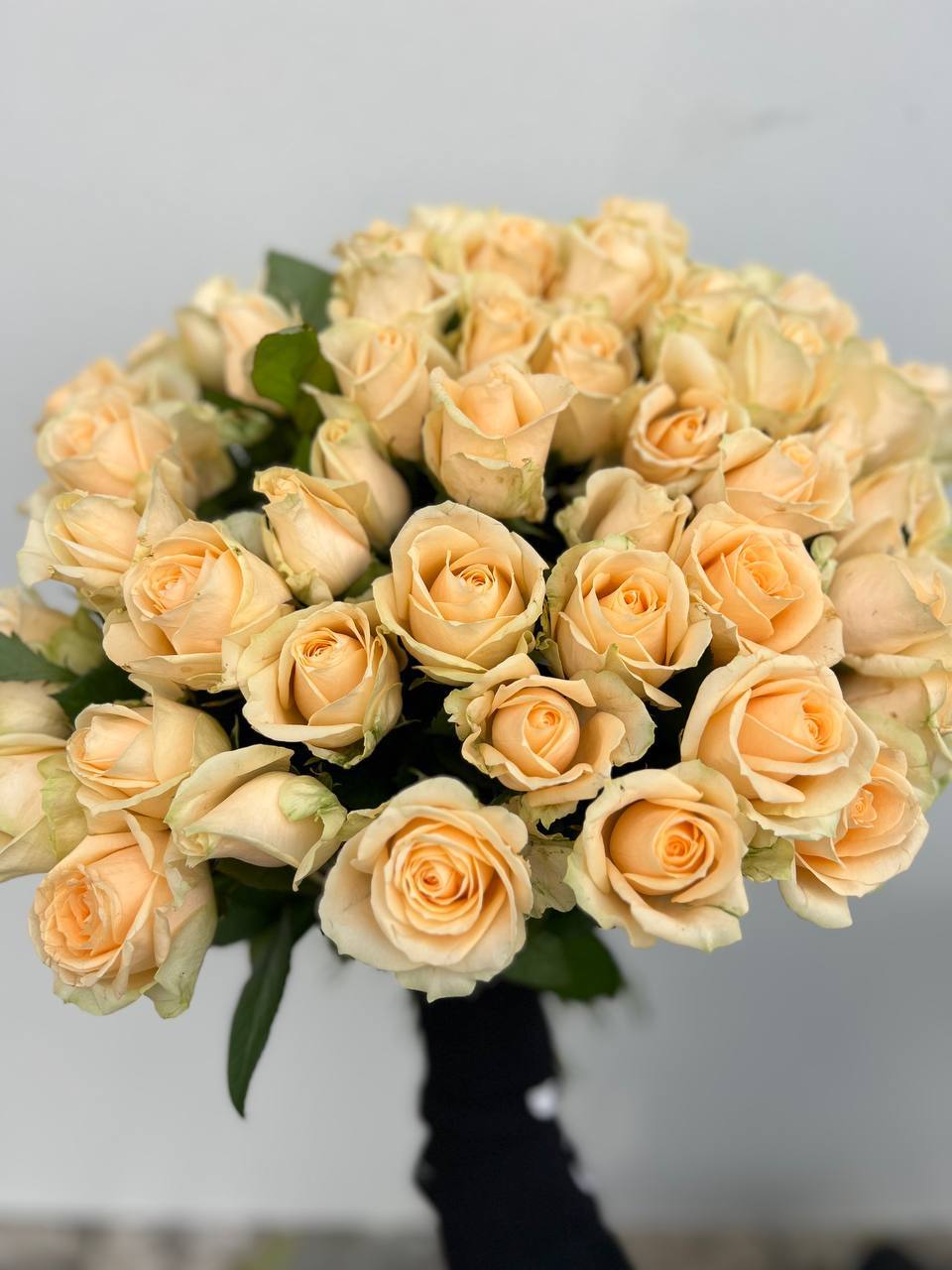 Піч Аваланч