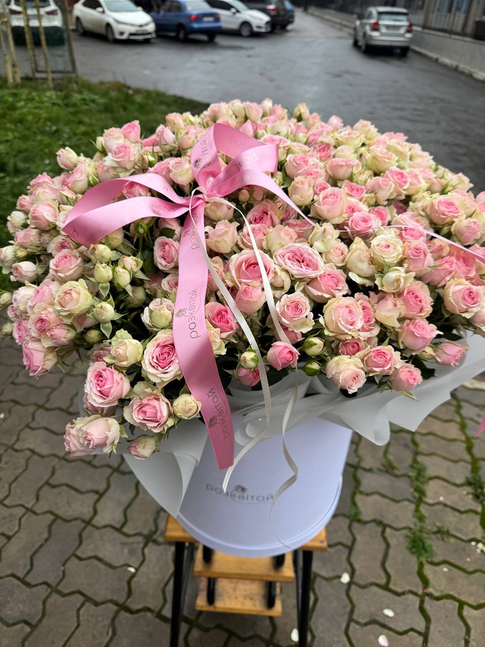 Бокс з кущиком