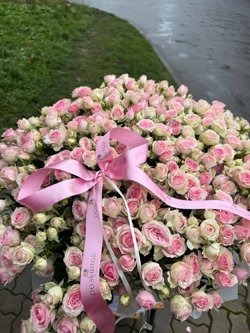 Бокс з кущиком