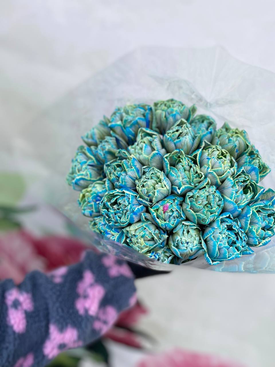 Тюльпан піоновидний