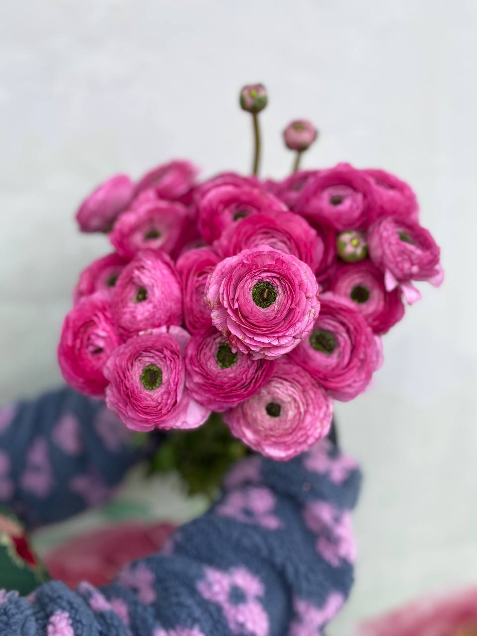 Ронюнкулус Малинова