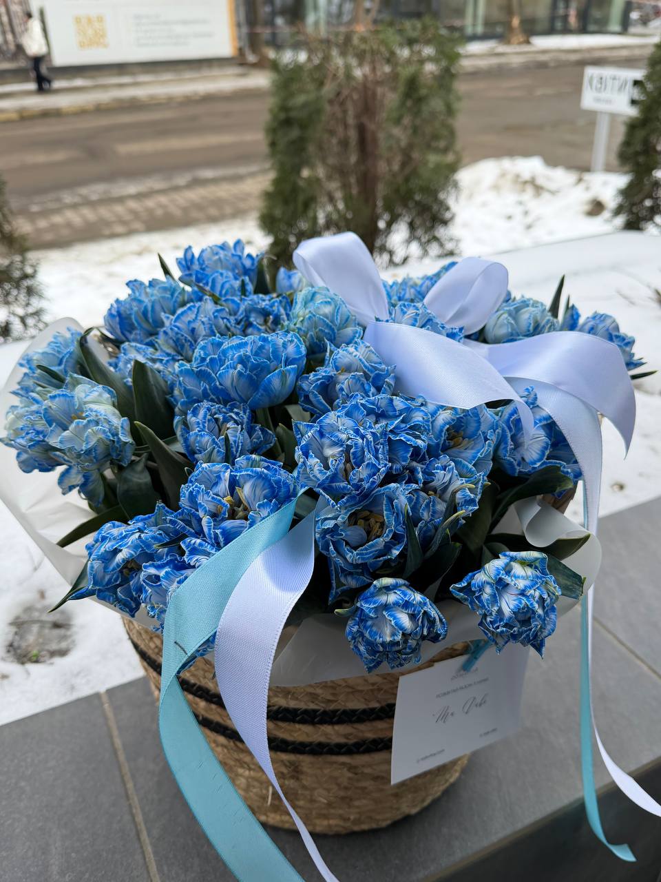 Тюльпан в корзині піоновидний