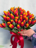 Тюльпани класика 35 шт