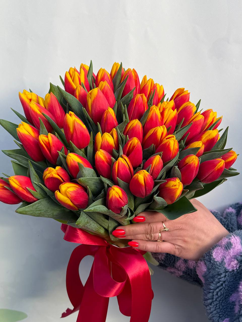 Тюльпани класика 35 шт