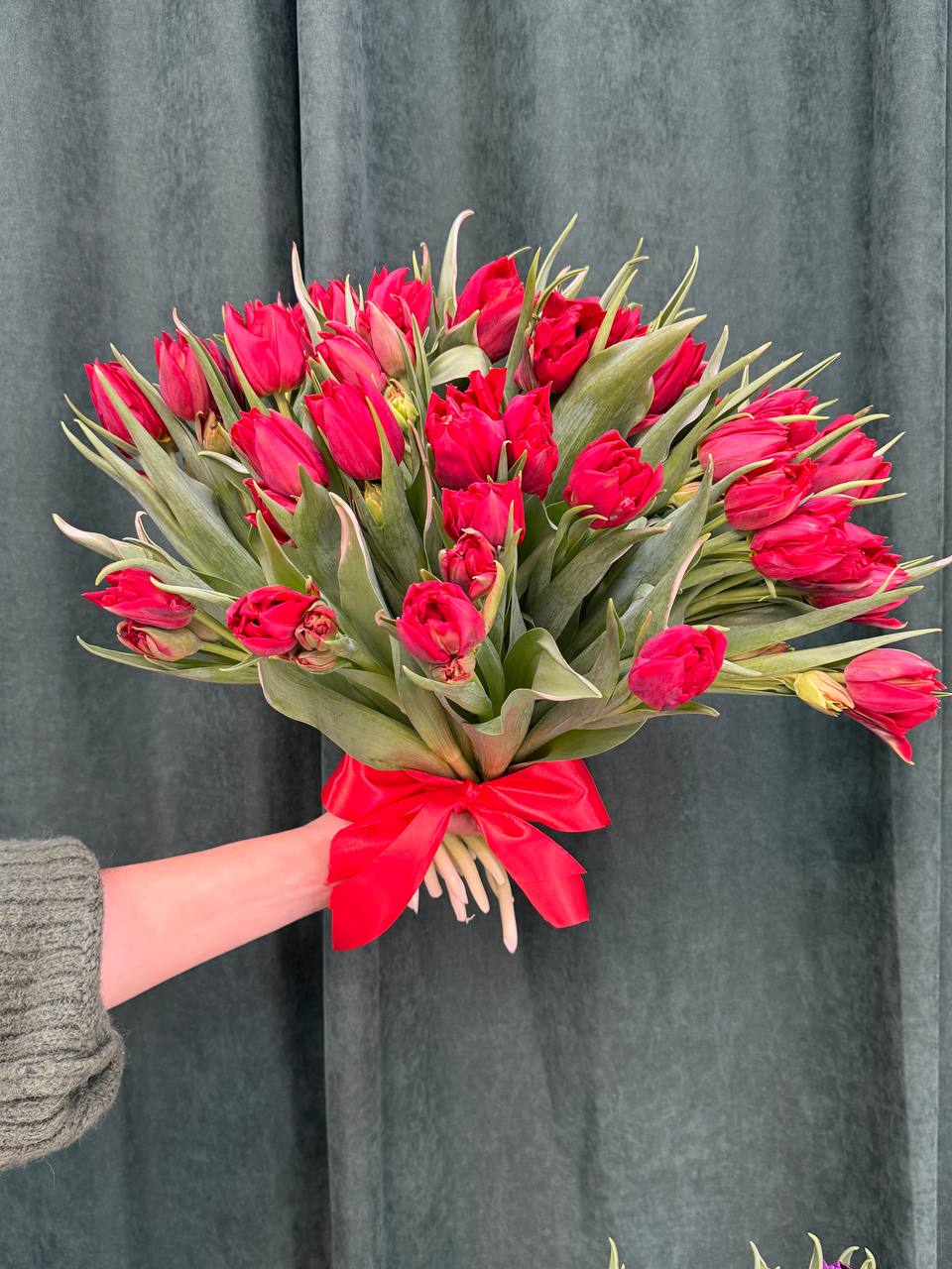 Червоні тюльпани під стрічку 25 шт
