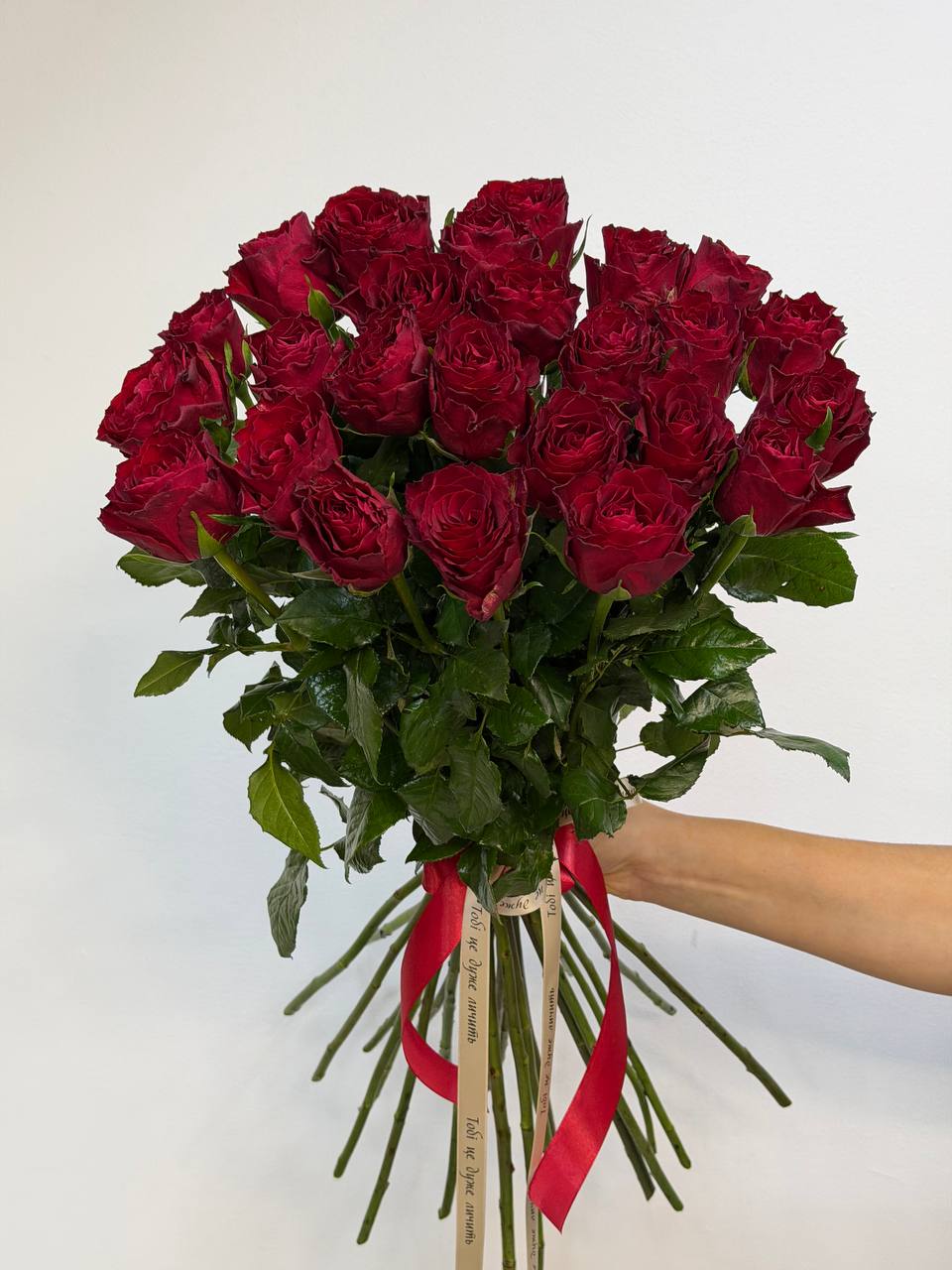 Троянда мадам ред