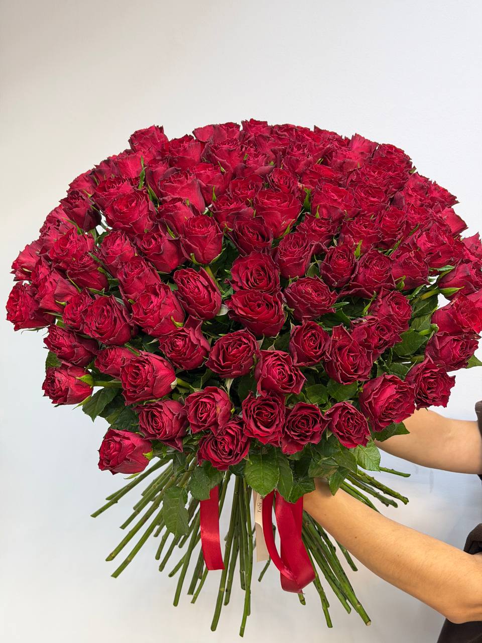 Троянда мадам ред