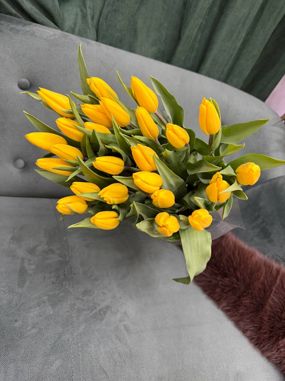 Тюльпани Жовті
